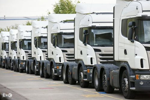 首批國(guó)產(chǎn)電動(dòng)物流車運(yùn)抵美國(guó)，技術(shù)優(yōu)勢(shì)開啟國(guó)際化新征程